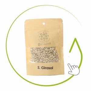 Semilla de girasol 30 gr