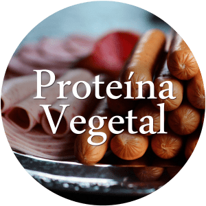 Proteina Vegetal
