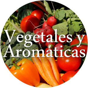 Vegetales y Aromáticas