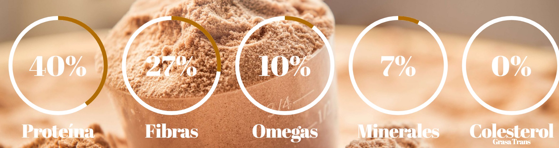 PROTEINA DE NUEZ DE CACAY 450 GR - Imagen 4